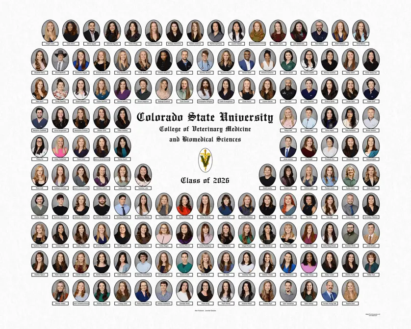 Veterinary school graduation composite with oval portrait photos arranged in rows around a central school logo and "Colorado State University College of Veterinary Medicine and Biomedical Sciences Class of 2026" text.